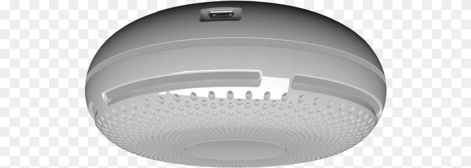 Mouse, Indoors, Ceiling Light, Hot Tub, Tub Free Transparent Png