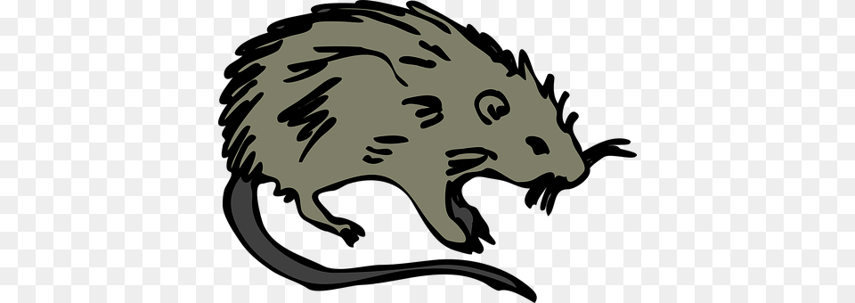 Mouse Baby, Person, Animal, Mammal Png