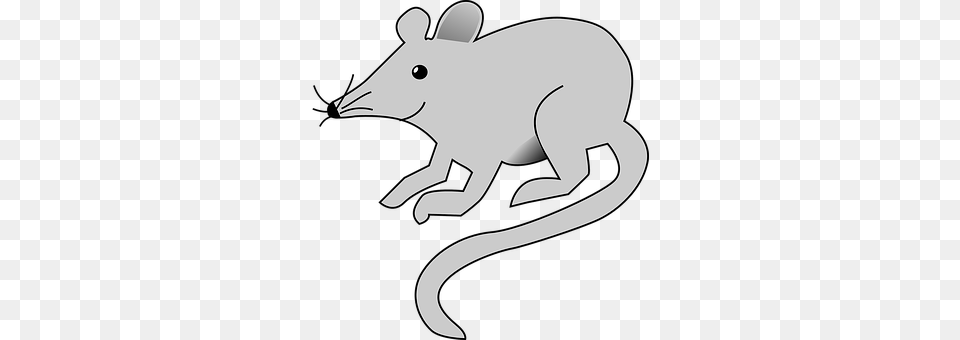 Mouse Animal, Mammal, Wildlife, Baby Png Image