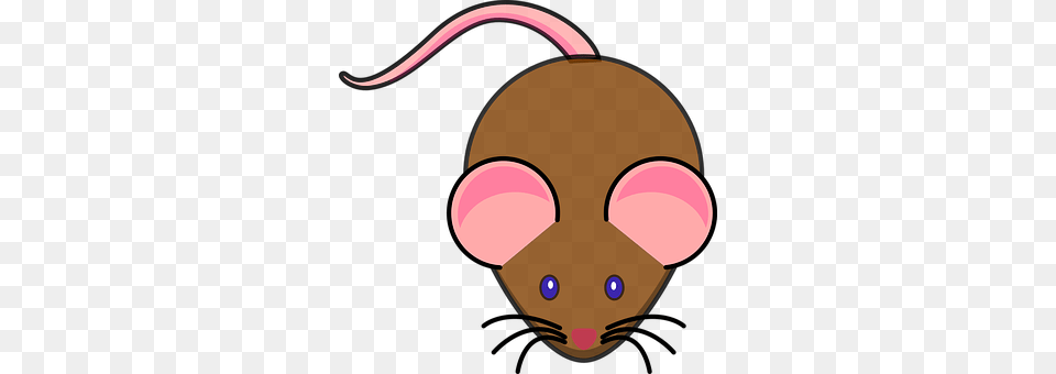 Mouse Computer Hardware, Electronics, Hardware, Animal Free Transparent Png