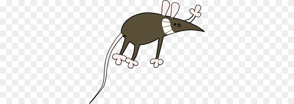 Mouse Animal Png