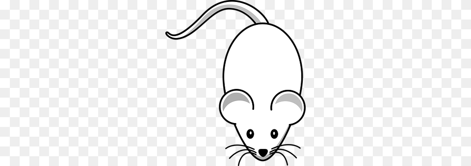 Mouse Stencil, Computer Hardware, Electronics, Hardware Free Png Download