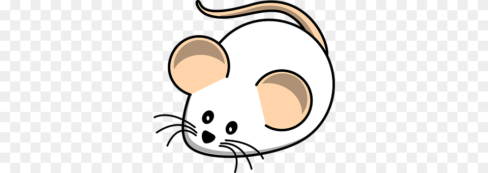 Mouse Astronomy, Moon, Nature, Night Png