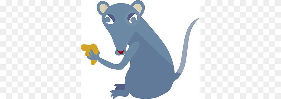 Mouse Animal, Bear, Mammal, Wildlife Free Png