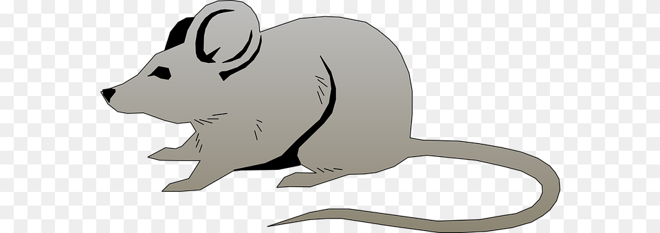 Mouse Animal, Mammal, Adult, Female Free Png