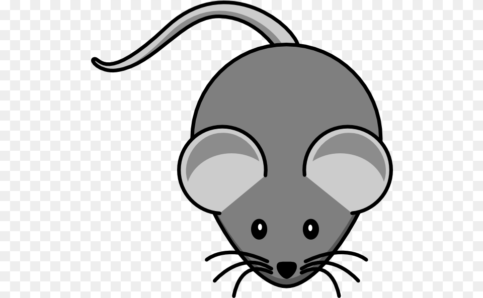 Mouse Animal Clipart Cartoon Picture Of Mouse, Computer Hardware, Electronics, Hardware, Stencil Png Image