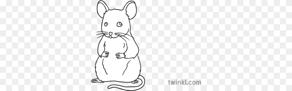 Mouse Animal Open Eyes Ks1 Black And White Rgb Illustration Decorating Gingerbread Cookie Clipart, Baby, Person, Mammal Free Png