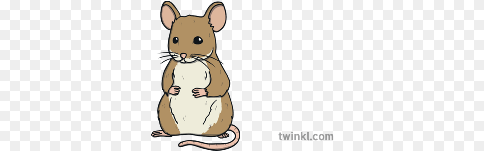 Mouse Animal Open Eyes Ks1 Illustration Twinkl Animal Figure, Mammal, Rat, Rodent Free Png