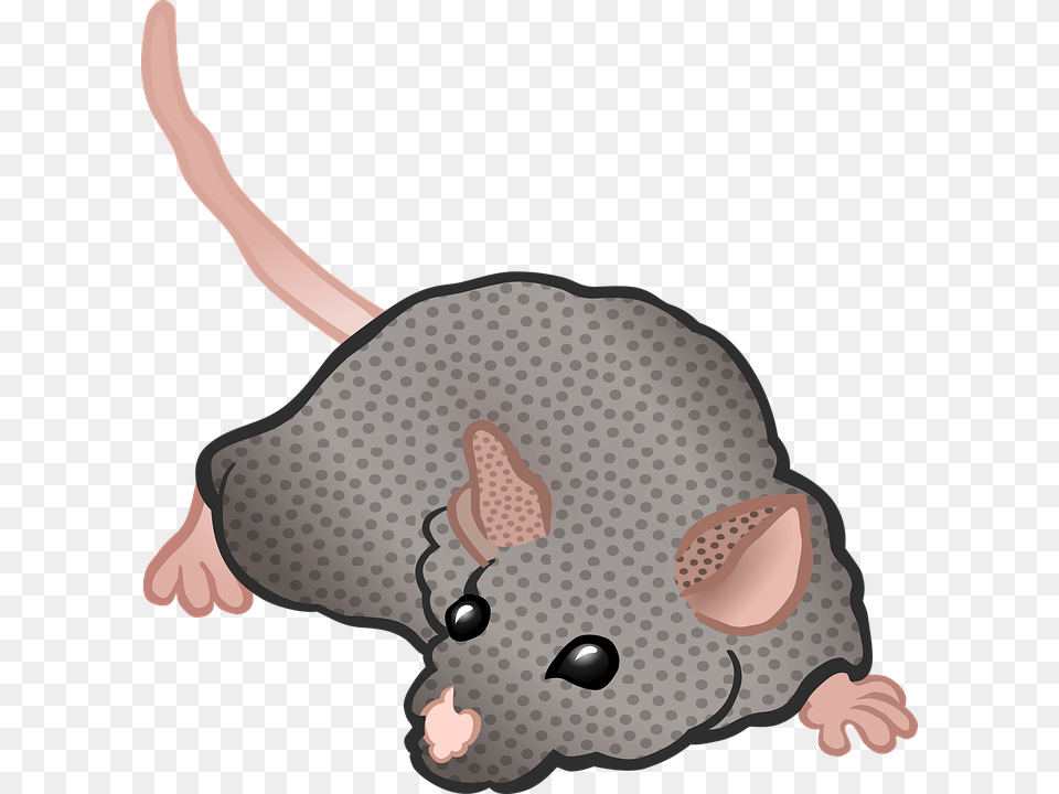 Mouse Animal Rodent Cartoon Grey Rat Brown Rat Transparent Rat Face Tee Shirt, Mammal, Baby, Person Free Png Download