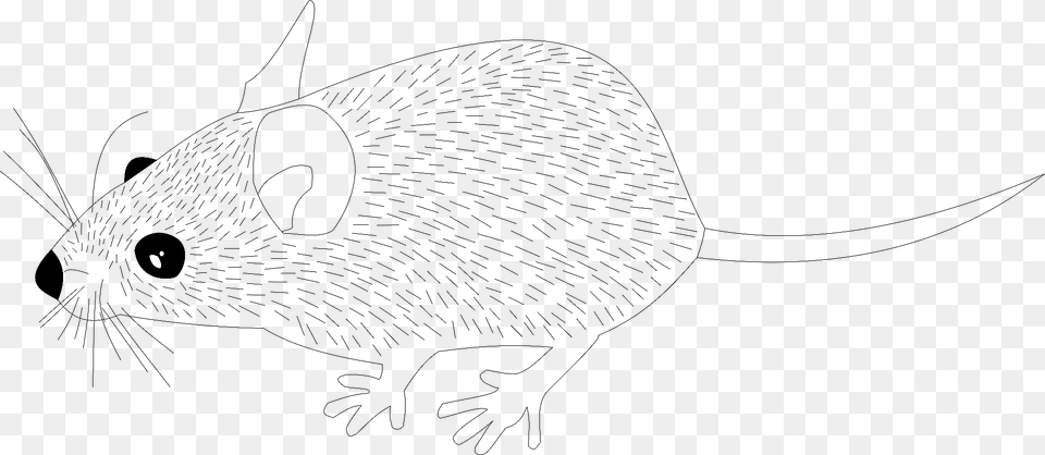 Mouse Black And White Clipart, Animal, Mammal, Rodent, Fish Free Transparent Png