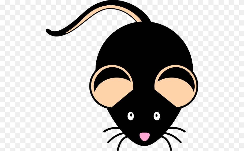 Mouse Cartoon Clipart Png