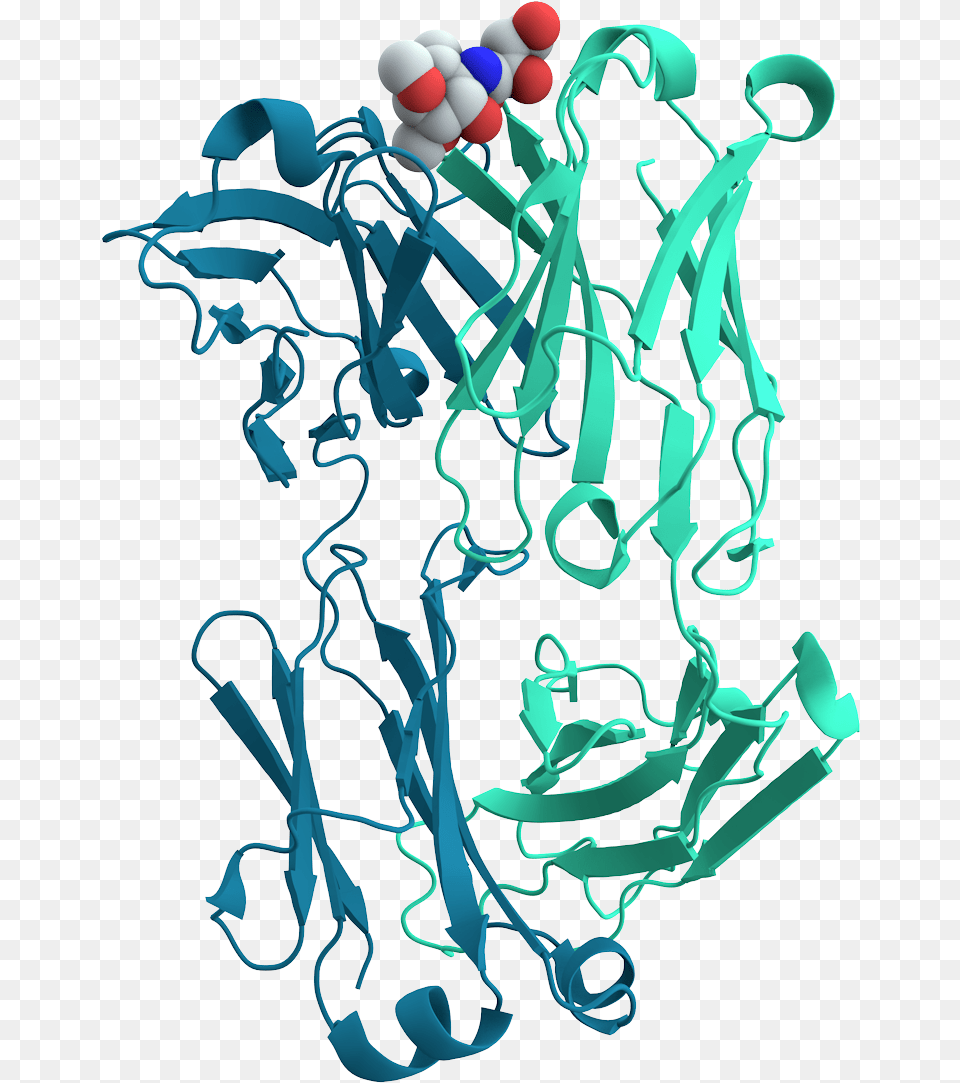 Mouse Cholera Antibody Transparent Protein Cell, Paper, Art, Graphics, Bonfire Free Png Download
