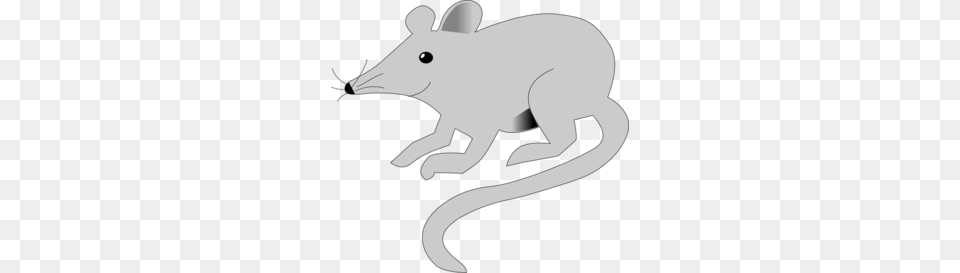 Mouse Clip Art, Animal, Mammal, Wildlife Free Png