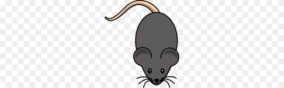 Mouse Clip Art, Animal, Mammal Free Transparent Png