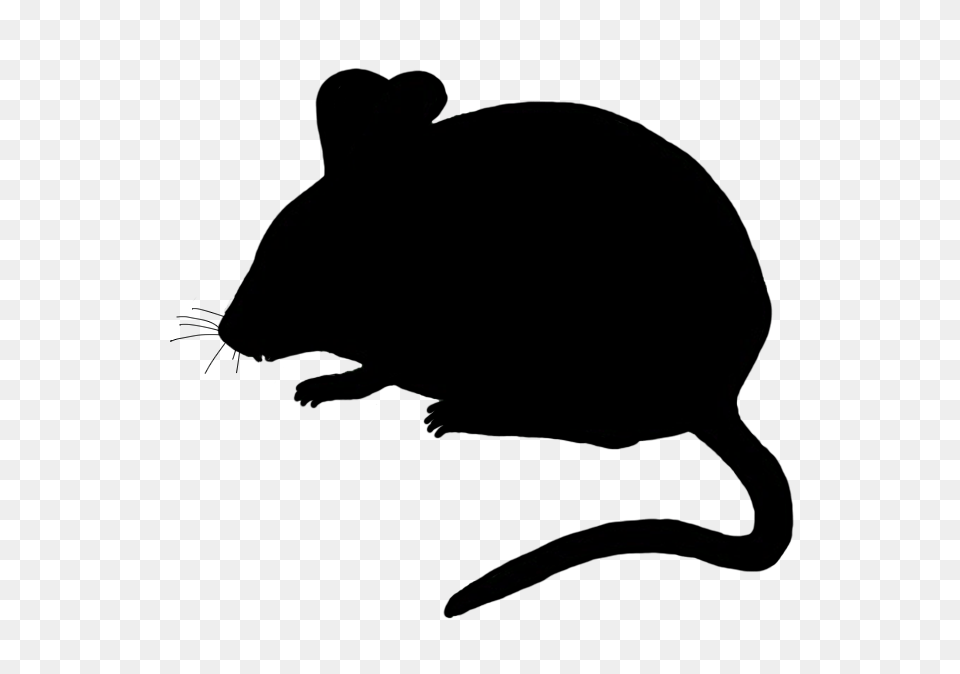Mouse Clip Art, Animal, Mammal, Rodent, Clothing Free Transparent Png