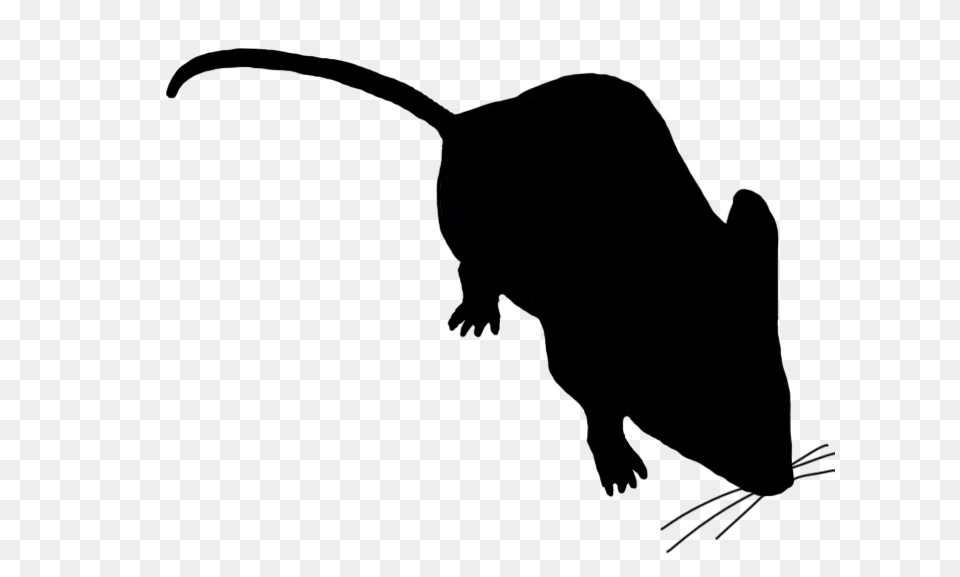Mouse Clip Art, Silhouette, Stencil, Animal, Bear Free Png
