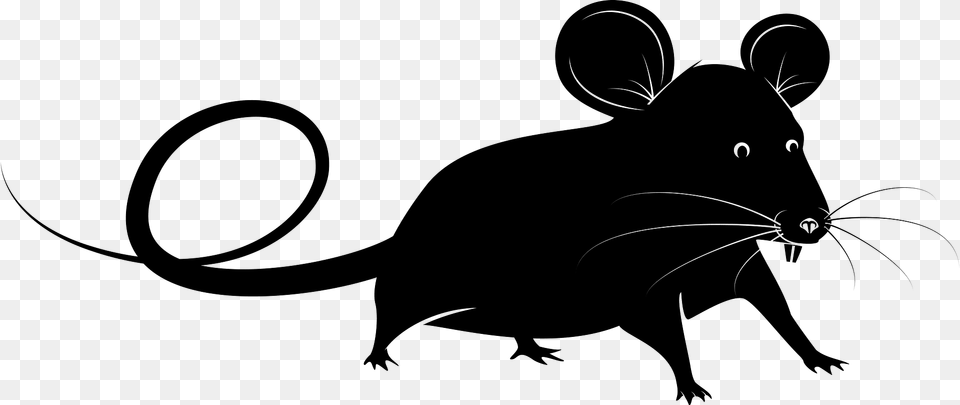 Mouse Clipart, Animal, Mammal, Rodent, Rat Free Transparent Png