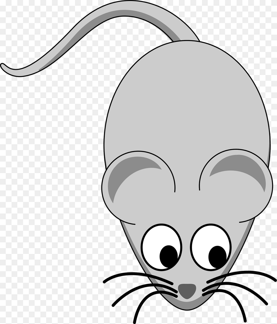 Mouse Clipart, Computer Hardware, Electronics, Hardware, Animal Png Image