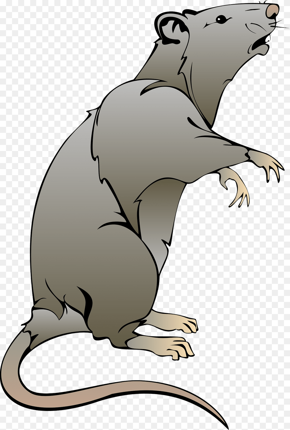 Mouse Clipart, Animal, Mammal, Baby, Person Free Transparent Png