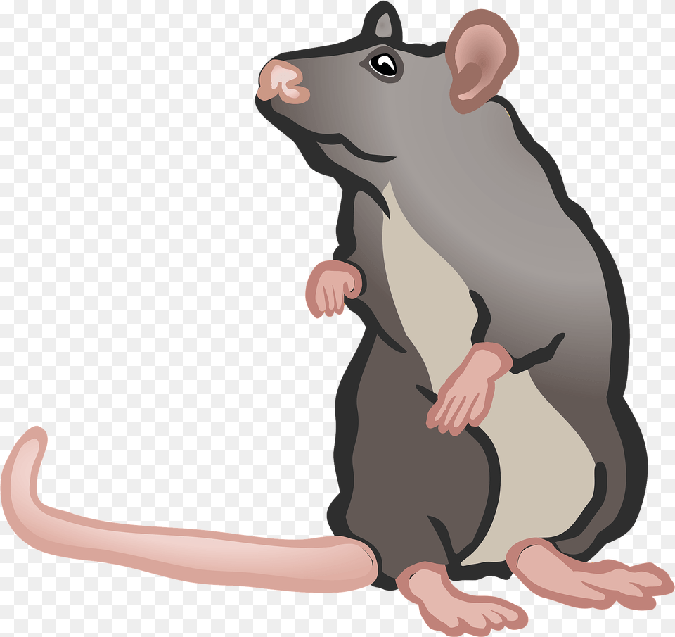 Mouse Clipart Download Creazilla 2 Mouse Clipart, Animal, Mammal, Rat, Rodent Png