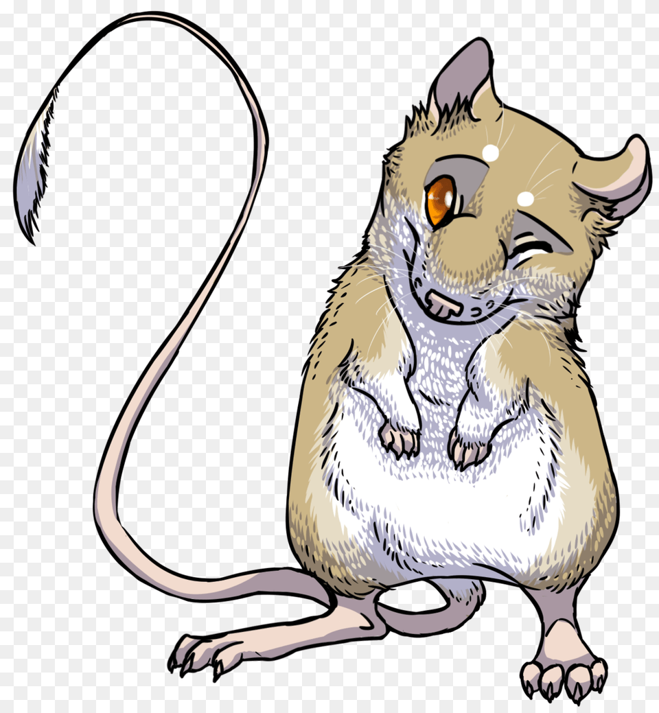 Mouse Clipart Kangaroo Rat, Animal, Mammal, Rodent, Bird Png