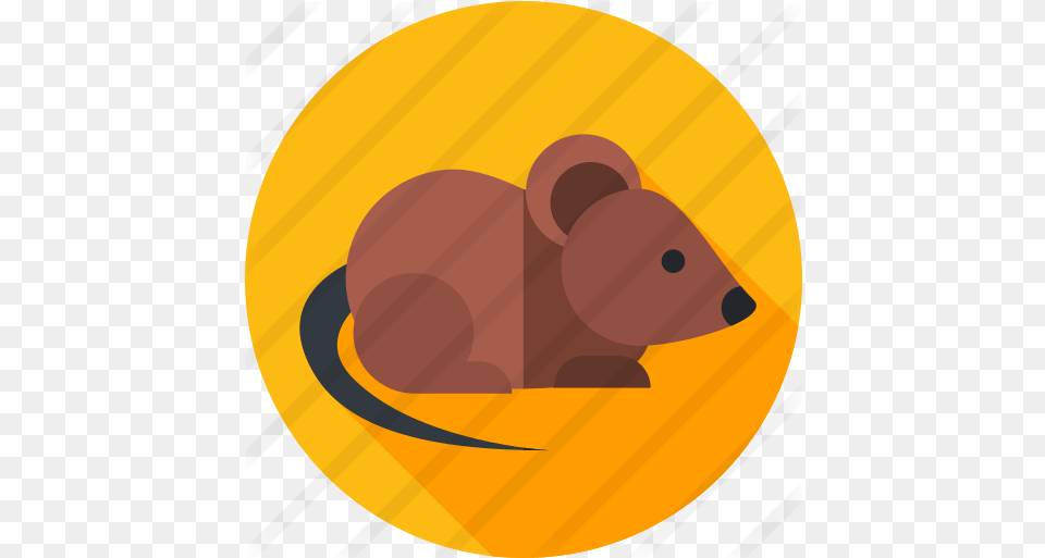 Mouse Free Animals Icons Clip Art, Animal, Mammal, Rodent, Astronomy Png
