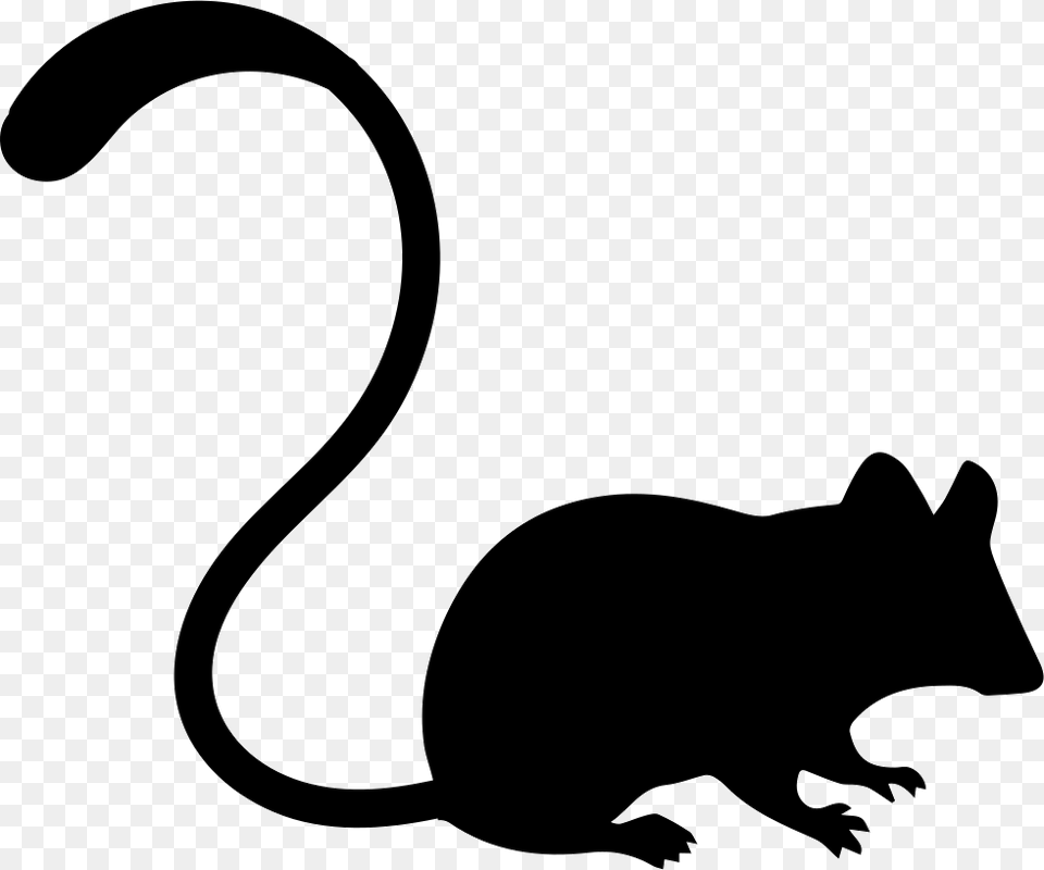 Mouse Icon, Silhouette, Stencil, Animal, Kangaroo Png