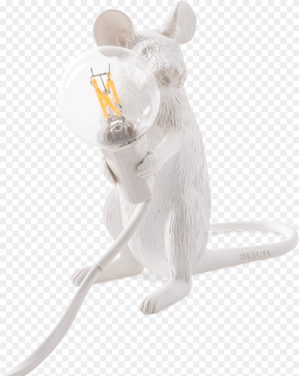 Mouse Lamp Sitting Mouse, Light, Person Free Png Download