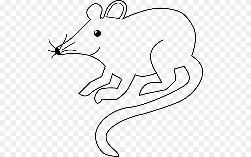 Mouse Outline Clip Art, Animal, Mammal, Wildlife Free Png Download