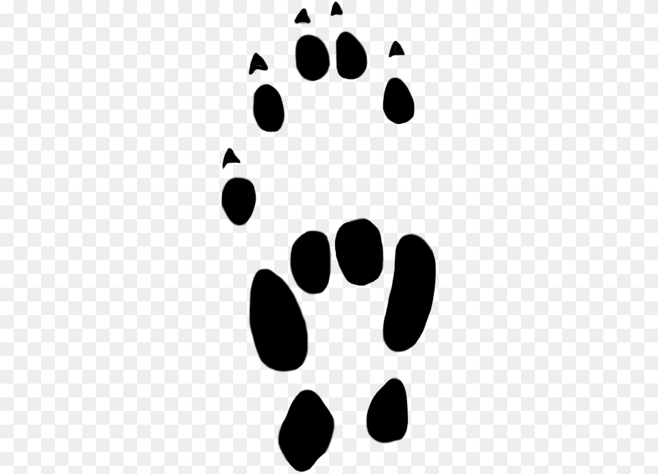 Mouse Paw Prints Free Png Download
