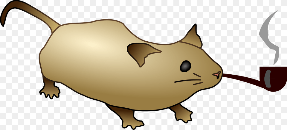 Mouse Pooping, Animal, Mammal, Baby, Person Free Transparent Png