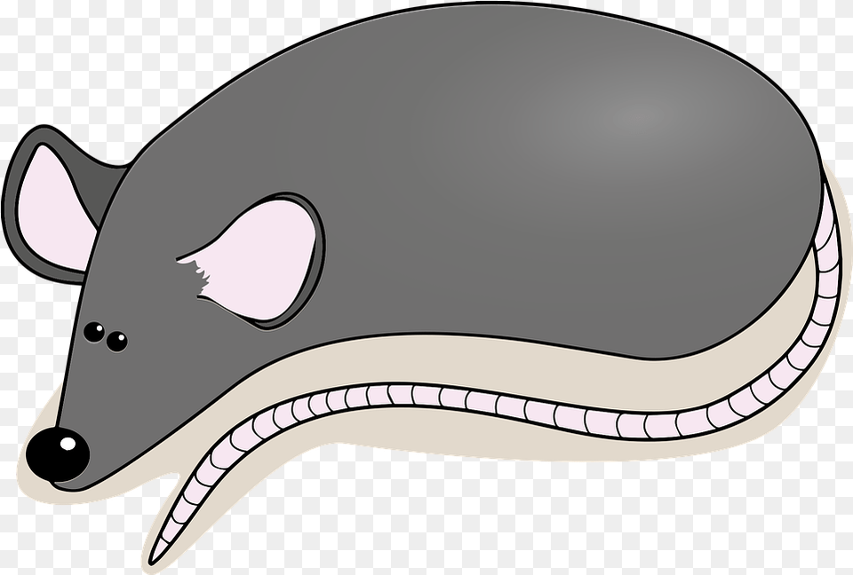 Mouse Rat Animal Vector Graphic On Pixabay Rat, Mammal, Hot Tub, Tub Free Transparent Png