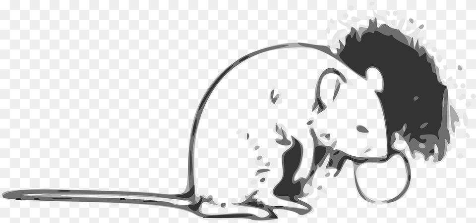Mouse Rodent Animal Rat Picpng Rat, Mammal, Person, Head Free Transparent Png