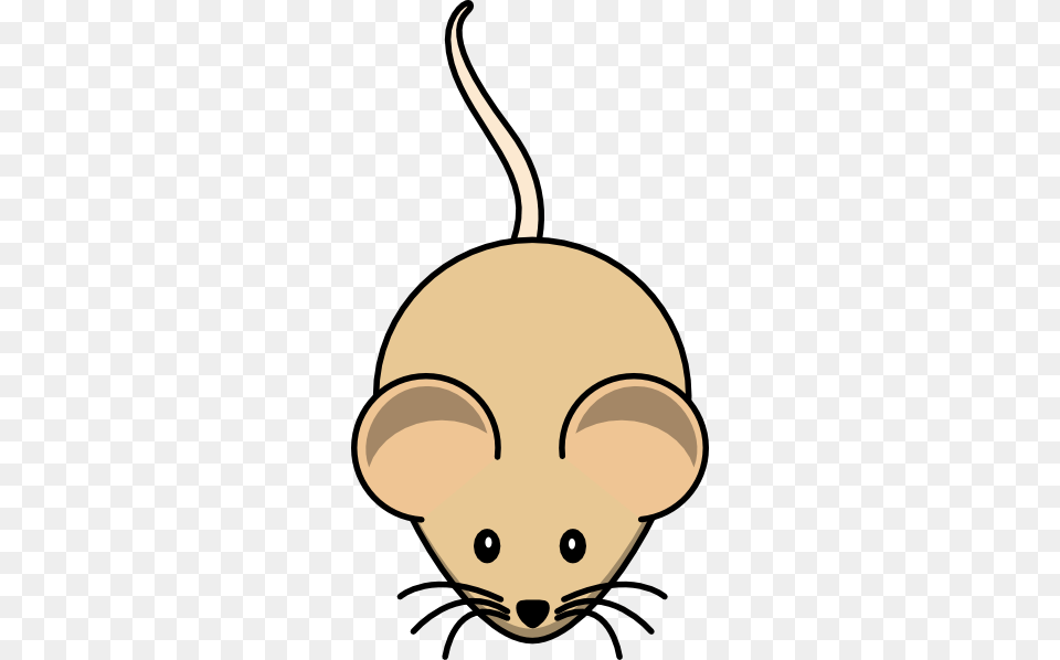 Mouse Short Tail Clip Art For Web, Baby, Person, Animal, Mammal Png