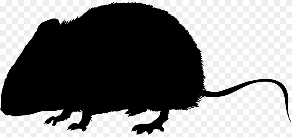 Mouse Silhouette, Animal, Mammal, Rodent, Bear Free Transparent Png