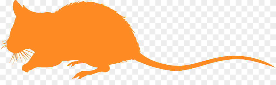 Mouse Silhouette, Animal, Mammal, Rodent, Rat Free Transparent Png