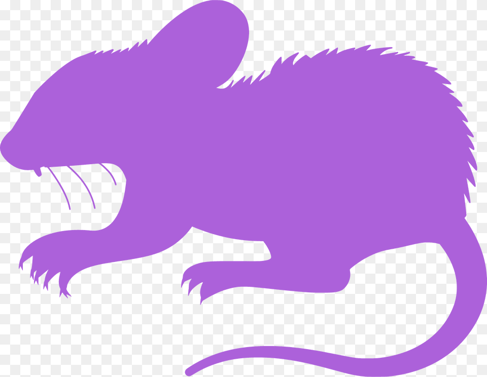 Mouse Silhouette, Animal, Mammal, Fish, Rodent Free Png