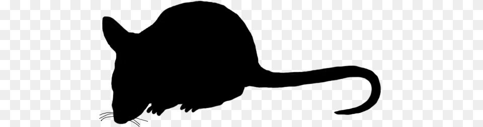 Mouse Silhouette Sidewasy Mouse Clip Art Silhouette Mouse Silhouette Transparent, Clothing, Hat Png Image