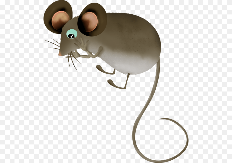 Mouse Tubes Rat, Electronics, Hardware, Animal, Mammal Free Png Download