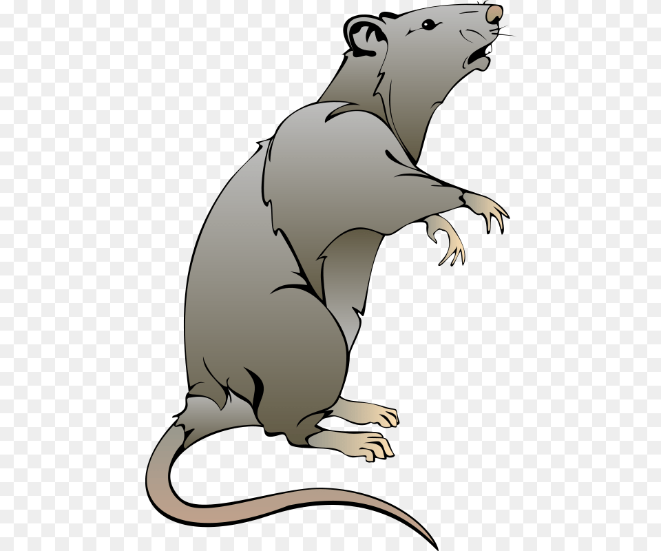 Mouse Vector, Animal, Mammal, Baby, Person Png Image