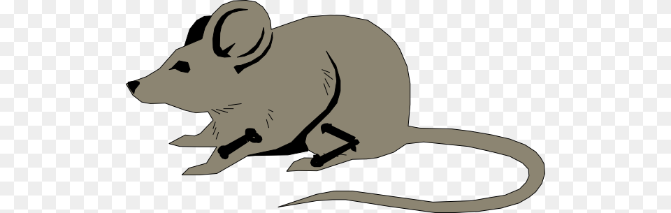 Mouse With Bones Clip Art, Animal, Mammal, Rodent, Fish Free Transparent Png