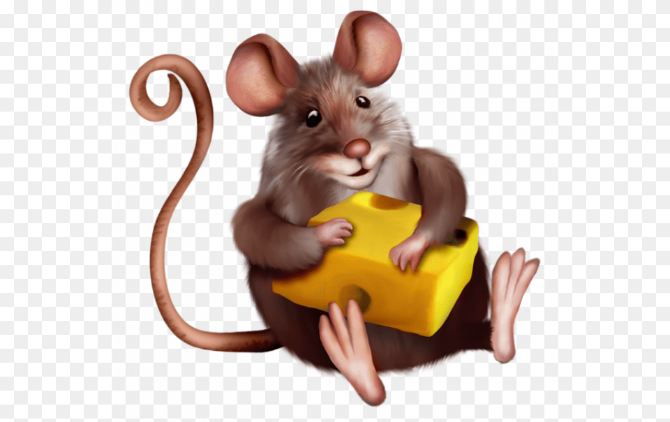 Mouse With Cheese Cartoon, Animal, Mammal, Rodent, Rat Free Transparent Png