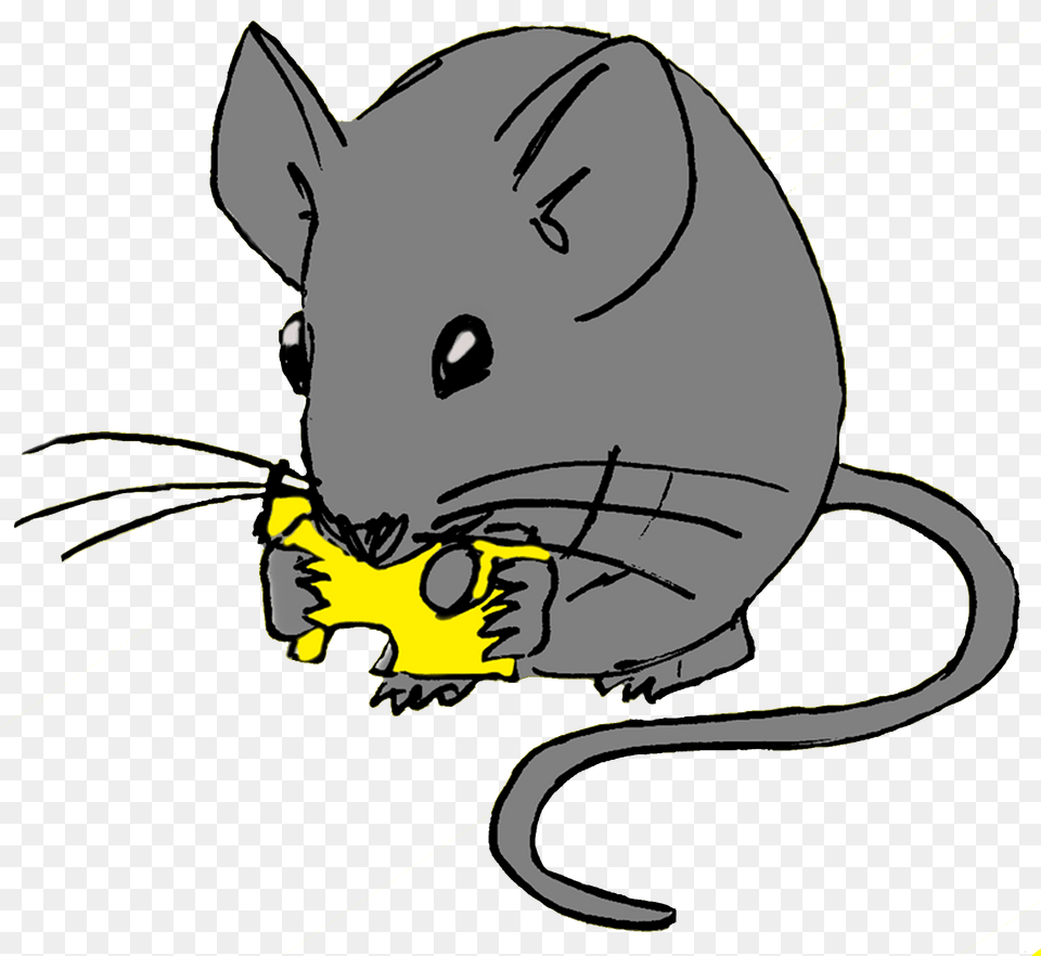 Mouse With Cheese Clipart, Animal, Baby, Mammal, Person Free Png Download