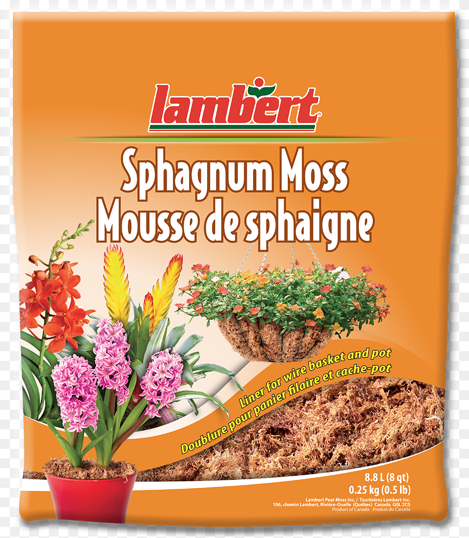 Mousse De Sphaigne, Advertisement, Herbal, Herbs, Plant Free Transparent Png