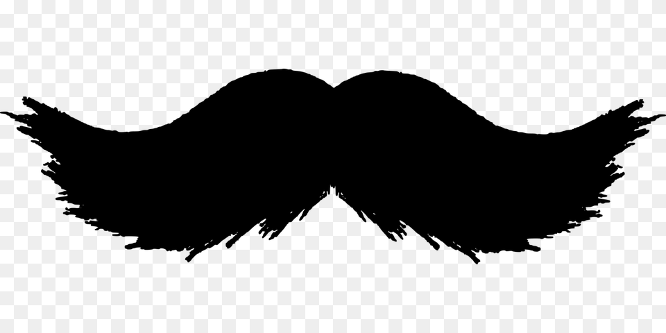 Moustache, Gray Png
