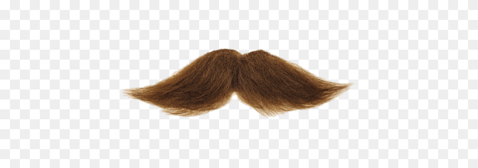 Moustache, Face, Head, Mustache, Person Free Transparent Png