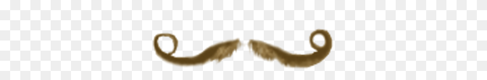Moustache, Face, Head, Mustache, Person Free Png