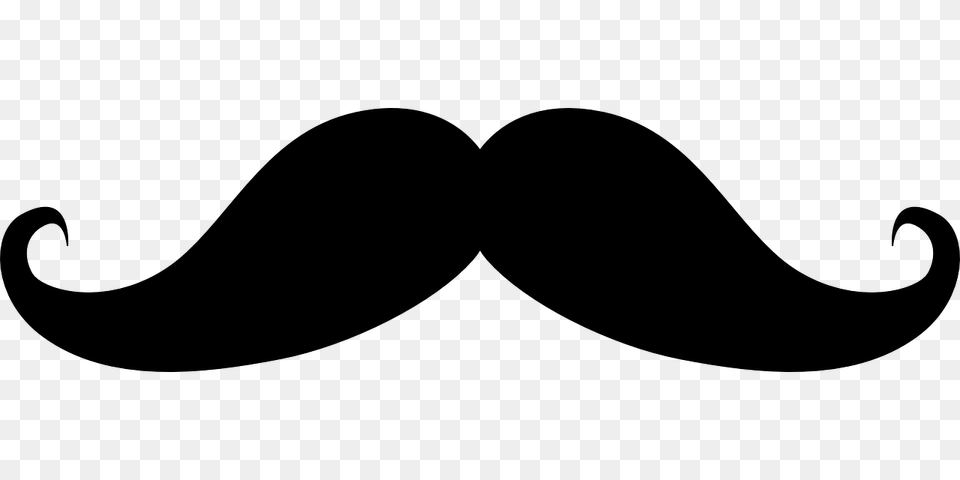 Moustache, Gray Png Image