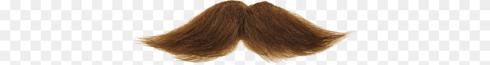 Moustache, Face, Head, Mustache, Person Free Png