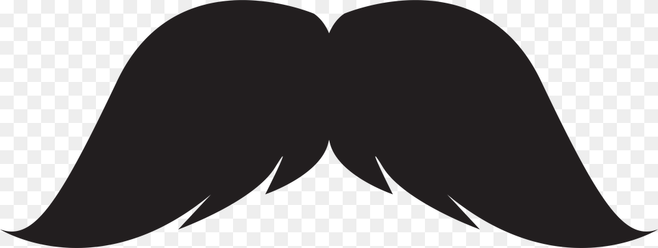 Moustache Hair Google Adwords Clip Art Moustache, Face, Head, Mustache, Person Free Png Download